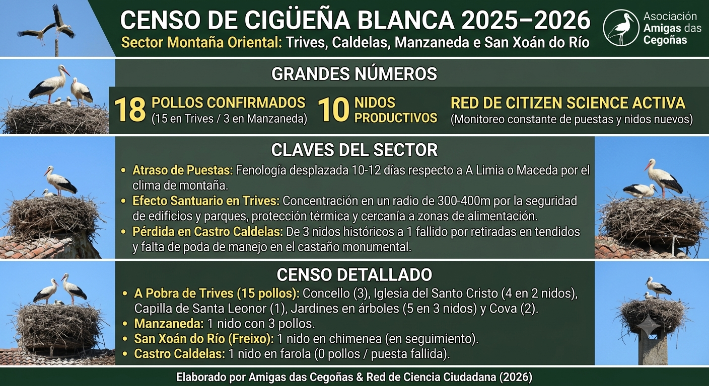Cartel informativo sobre censo de cigüeña blanca 2025-2026 con nidos y cifras, aves en tejados.